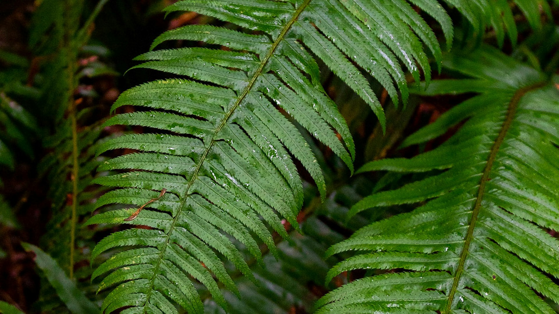 Construction team collaboration